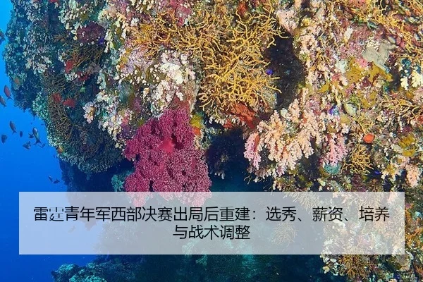 lei-ting-qing-nian-jun-xi-bu-jue-sai-chu-ju-hou-chong-jian-xuan-xiu-xin-zi-pei-yang-yu-zhan-shu-tiao-zheng-3-607.jpg