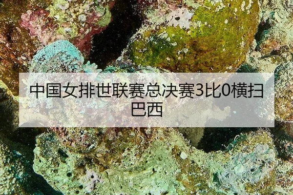 zhong-guo-nv-pai-shi-lian-sai-zong-jue-sai-bi-heng-sao-ba-xi-3-992.jpg